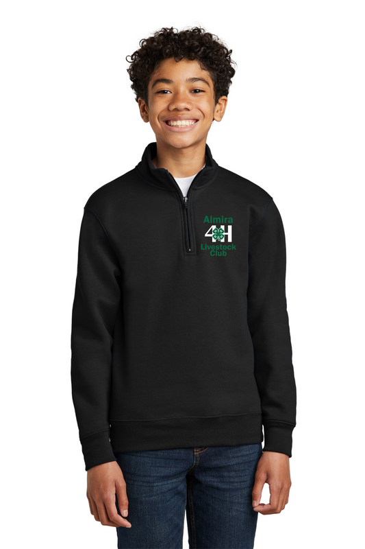Youth 1/4 zip sweatshirt